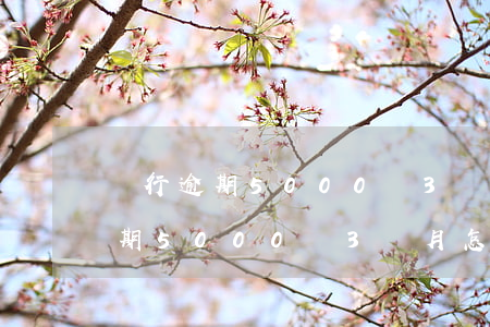 銀行逾期5000塊3個月怎么辦-銀行逾期5000塊3個月怎么辦理