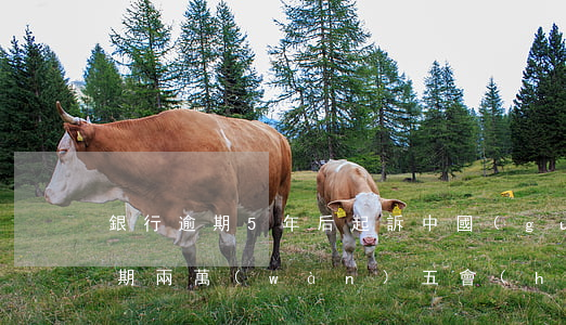 銀行逾期5年后起訴（中國(guó)銀行逾期兩萬(wàn)五會(huì)起訴嗎）