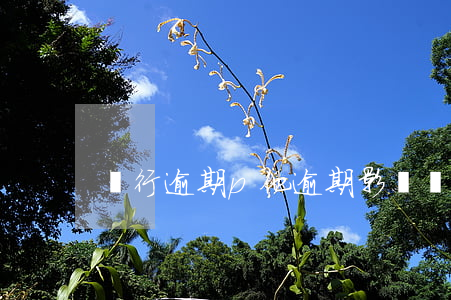 銀行逾期p他(逾期影響別的銀行)