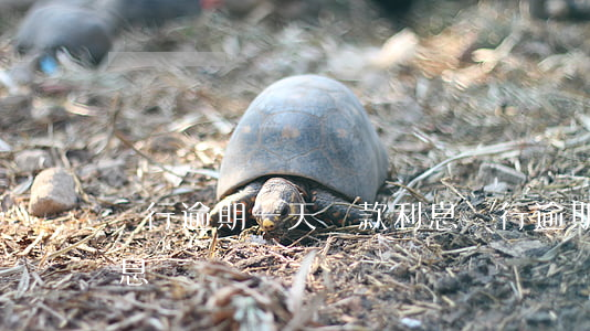 銀行逾期一天還款利息(銀行逾期一天還款利息)