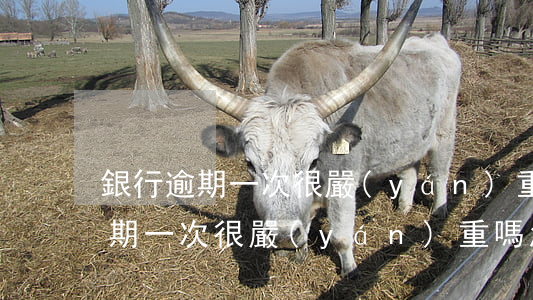 銀行逾期一次很嚴(yán)重嗎-銀行逾期一次很嚴(yán)重嗎怎么辦