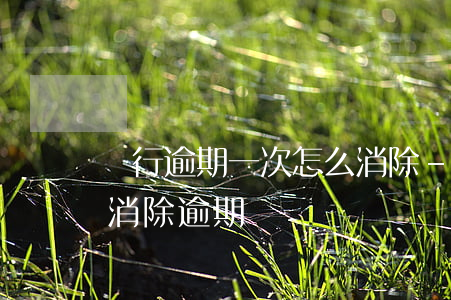 銀行逾期一次怎么消除-銀行逾期一次怎么消除逾期記錄