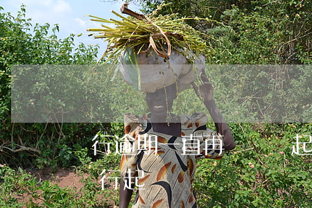 銀行逾期一直再還還會起訴么-逾期還款被銀行起訴