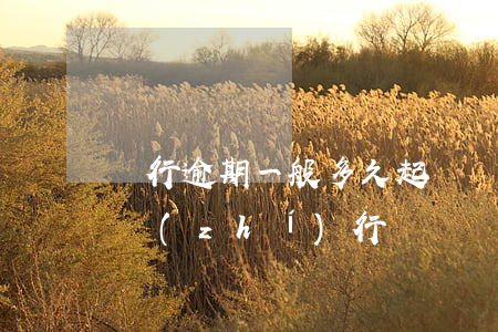 銀行逾期一般多久起訴（銀行逾期起訴多久到執(zhí)行）