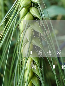 銀行逾期三個月欠了三千會被起訴嗎（銀行逾期3萬被起訴）