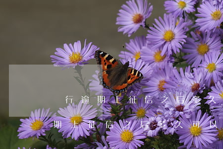 銀行逾期上征信之后多久可以貸款-銀行逾期上征信之后多久可以貸款買房
