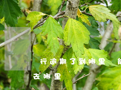 銀行逾期了到哪里還能借到錢（銀行逾期欠款去哪里還）