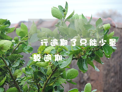 銀行逾期了只能少量還款(銀行還了最低還款算逾期嗎)