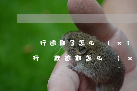 銀行逾期了怎么協(xié)商停息還款(銀行貸款逾期怎么協(xié)商還款)