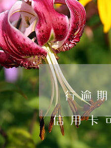 銀行逾期了辦大額信用卡(銀行逾期了辦大額信用卡可以嗎)