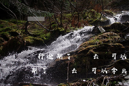 銀行逾期了還進去還可以拿出來嗎-銀行逾期了還進去還可以拿出來嗎安全嗎