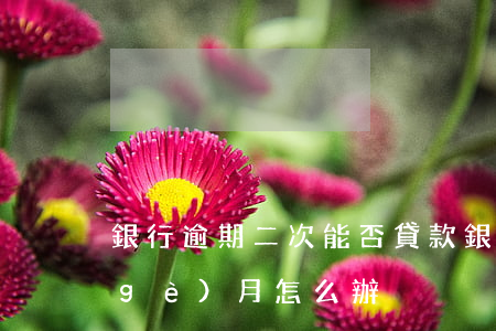 銀行逾期二次能否貸款(銀行貸款逾期兩個(gè)月怎么辦)