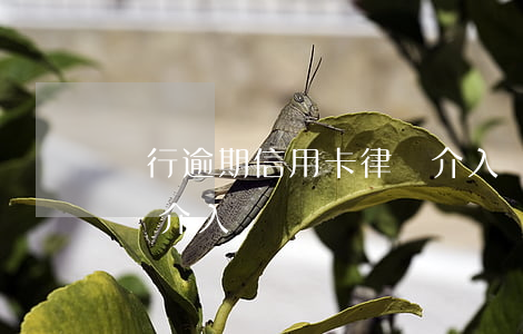 銀行逾期信用卡律師介入(銀行逾期信用卡律師介入)