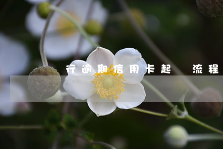 銀行逾期信用卡起訴流程