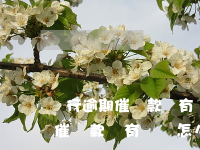 銀行逾期催還款沒有錢還怎么辦-銀行逾期催還款沒有錢還怎么辦啊