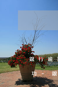 銀行逾期協(xié)商提供資料能不能成功-銀行逾期協(xié)商提供資料能不能成功呢