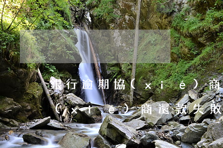 銀行逾期協(xié)商還款技巧(與銀行協(xié)商還款失敗以后自己該怎么做)