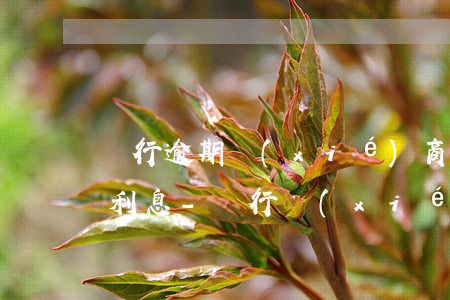 銀行逾期協(xié)商還款為什么還要收利息-銀行協(xié)商還款又逾期