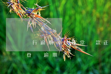 銀行逾期可以正常還款(正常還款但是銀行給登記逾期了)