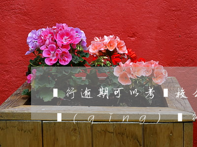 銀行逾期可以考駕校么-有逾期記錄可以申請(qǐng)銀行貸款嗎