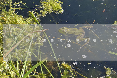 銀行逾期多久算逾期-銀行逾期多久算逾期了