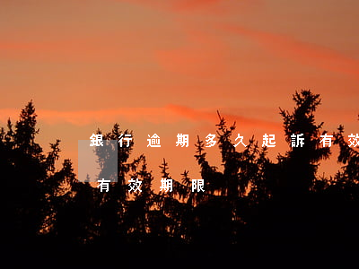銀行逾期多久起訴有效，理解銀行逾期起訴的有效期限