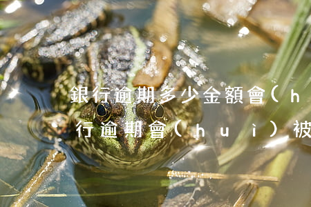 銀行逾期多少金額會(huì)被起訴-銀行逾期會(huì)被起訴會(huì)判刑嗎