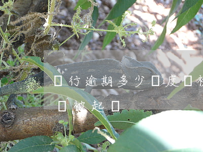銀行逾期多少額度會被起訴 欠銀行多少金額會被起訴