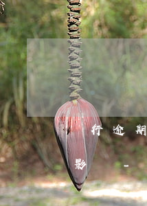 銀行逾期對緊急聯(lián)系人有什么影響-銀行逾期對緊急聯(lián)系人有什么影響嗎