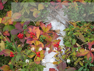 銀行逾期已經(jīng)結(jié)清的還需要還款嗎-銀行逾期還完之后還能貸款嗎