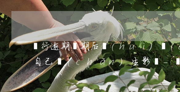 銀行逾期幾期后會(huì)對(duì)自己產(chǎn)生影響-銀行逾期幾期后會(huì)對(duì)自己產(chǎn)生影響嗎