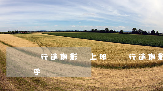 銀行逾期影響上班嗎(銀行逾期影響上班嗎知乎)