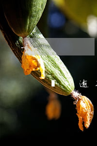 銀行逾期律師函（銀行逾期仲裁通知書）