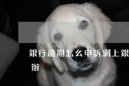 銀行逾期怎么申訴（網上銀行逾期要起訴怎么辦）