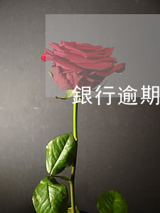 銀行逾期怎樣不被起訴(怎么告銀行導致逾期)