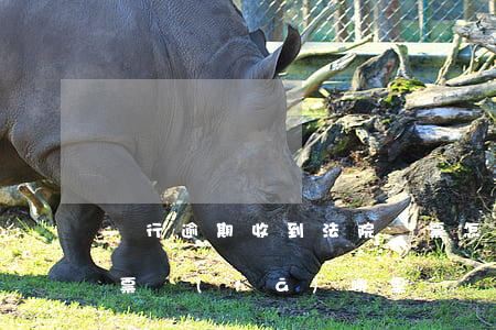 銀行逾期收到法院傳票怎么辦（信用卡逾期傳票發(fā)哪里）