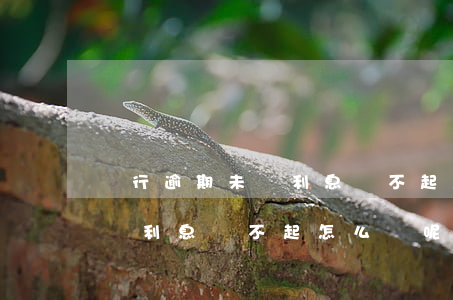 銀行逾期未還利息還不起怎么辦 銀行逾期未還利息還不起怎么辦呢