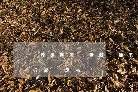 銀行逾期未還款起訴函怎么寫-貸款未還銀行起訴怎么辦