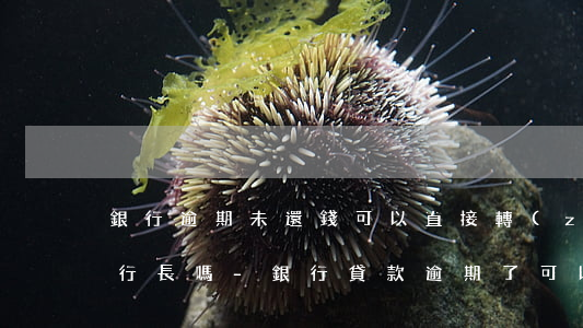 銀行逾期未還錢可以直接轉(zhuǎn)行長嗎-銀行貸款逾期了可以轉(zhuǎn)貸嗎