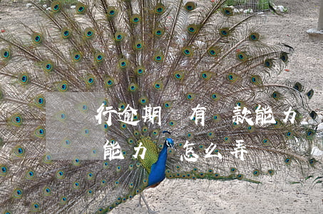 銀行逾期沒有還款能力(銀行貸款到期后,實在沒能力還怎么弄)