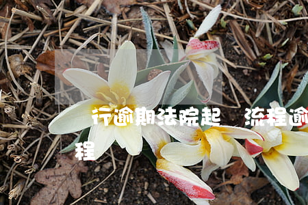 銀行逾期法院起訴流程（逾期被銀行起訴的流程）