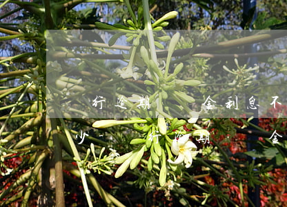 銀行逾期滯納金利息不得超過(guò)多少-銀行逾期滯納金利息不得超過(guò)多少?