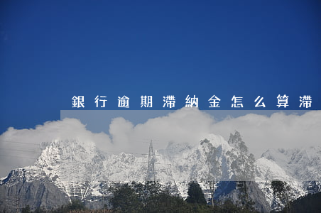 銀行逾期滯納金怎么算(滯納金算逾期嗎)