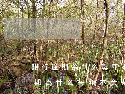銀行逾期為什么每年本金都會增加-銀行逾期為什么每年本金都會增加呢