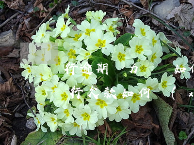 銀行逾期無力償還如何協(xié)商還款(銀行欠款如何協(xié)商還款)