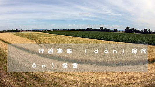 銀行逾期率擔(dān)保代償(逾期擔(dān)保金額)