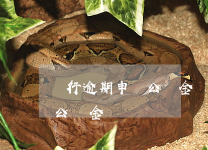 銀行逾期申請公積金貸款(銀行貸款逾期能提公積金嗎)