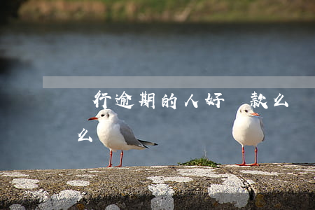銀行逾期的人好貸款么(銀行逾期的人好貸款么)