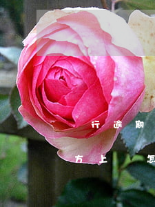 銀行逾期第三方上門合法嗎（信用卡逾期第三方上門怎么應(yīng)付）