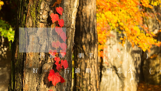 銀行逾期聲明手寫(xiě)還是打印比較好-銀行逾期聲明怎么寫(xiě)